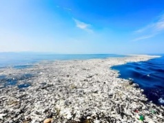 Najbardziej zanieczyszczony obszar oceaniczny na Ziemi, dziś stał się siedliskiem dla dziesiątek gatunków