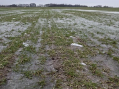 Woda ze śniegu. Czy tegoroczna wiosna będzie wreszcie mokra?