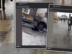 Nierówna walka ze "szklanką" na chodniku. Wideo podbiło internet