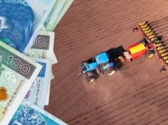 Rodzeństwo żąda zachowku? Tak możesz zapłacić mniej