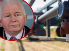 12,6 kg na ha w Brazylii kontra 2,7 kg w UE. Prof. Mrówczyński: Czas przywrócić wycofane pestycydy