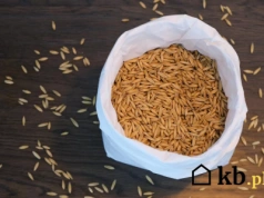 Wsypują to do pieców na pellet i płacą znacznie mniej. Jest jednak haczyk