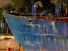 Koniec ze szkodliwymi biocydami. Naukowcy szykują rewolucję