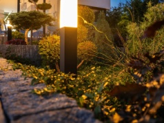 Sąd i przegrana za światło w ogrodzie. Sąsiad ma w ręku prawne atuty