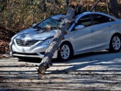 Dlaczego OC i AC mają realne znaczenie dla kierowcy