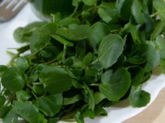 Seniorze, jedz 3 razy w tygodniu. To najzdrowsze warzywo świata kosztuje 2,50 zł