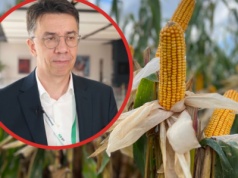 Rynek zbóż w 2026 roku. Jak sytuację oceni Mirosław Marciniak?