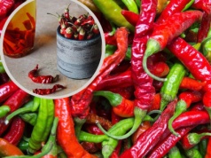 Nalewka z chili na stawy i przeziębienie. Poznaj przepis na leczniczą paprykówkę i jej właściwości przeciwbólowe, a także środki ostrożności