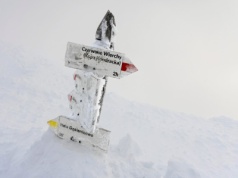 "To nie pamiątka, a wstyd". Tatrzański Park Narodowy apeluje do turystów o rozsądek