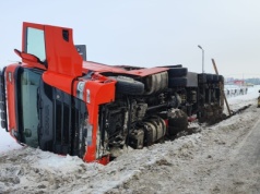 Ciężarówka przewożąca świnie wywróciła się na drodze krajowej