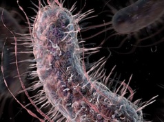 XV Noc Biologów na UKSW. Warsztaty i wykłady o sygnałach w świecie przyrody