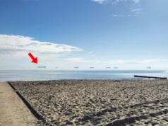 „Latające statki”. Spotkasz je spacerując po polskich plażach