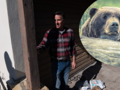 Pod jego domem zamieszkał niedźwiedź. "Wyskoczyłem z łóżka"