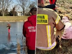 Pies wpadł pod lód, właścicielka wskoczyła za nim do rzeki