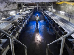 Niebieski diament wart fortunę. Rzadki klejnot odkryty w RPA