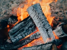 Rozsyp zimą na rabatach. Latem ogród ci się odwdzięczy