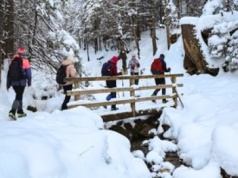Początek ferii. Już alarm w Tatrach