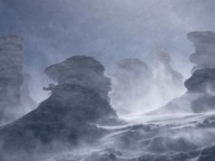 "Śnieżne potwory" znikają. Chcą je uratować