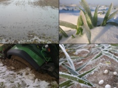 Azot w lutym? Wiele wskazuje na to, że ani warunki, ani przepisy na to nie pozwolą