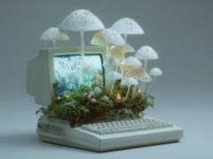 "Żywe komputery” zasilane grzybami. Naukowcy: to alternatywa dla krzemu