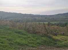 „Jesteśmy starzy, ale nie głupi”. Smog to też problem południa Europy