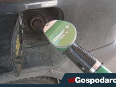 Mróz „zamroził” ceny paliw na stacjach?