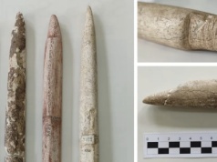 Pierwsi łowcy wielorybów żyli w tropikach, a nie w Arktyce