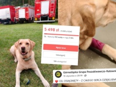 Udała się zrzutka na Akirę, czworonożną ratowniczkę, którą zaatakowało jakieś choróbsko 