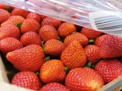 Marokańskie truskawki pod presją pogody i konkurencji. Mniejsze plony, wysokie ceny, duży popyt