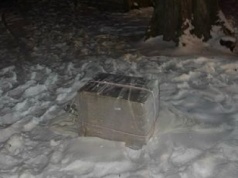 Balon zawisł na drzewie w Białymstoku. Policja zabezpieczyła paczkę