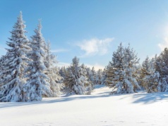 Tajemniczy Dolny Śląsk. Dlaczego warto spędzić tam ferie zimowe?
