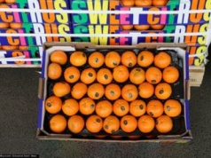 Ceny owoców na początku roku. Oto ile kosztują w hurcie