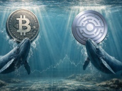 Wieloryby idą na całość z Bitcoinem i tą monetą o 1000% wartości, utrzymując poziom 91 tys. dolarów?