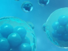 Komórki „nagrywają” swoje życie. Oto jak naukowcy to odkryli