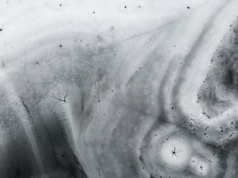 Wskazują na niespotykane od lat zjawisko. "Zmuszone do odlotu"