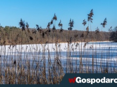 Ale zima! Zamarzło najgłębsze jezioro w Polsce