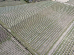 Prawie 13 mld zł na kontach rolników! Agencja realizuje płatności końcowe