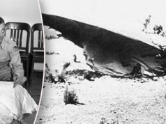 Tajemniczy wypadek w Roswell. To ma być rozwiązanie wielkiej zagadki