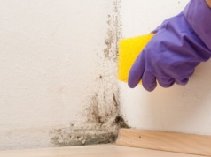 Tak usuniesz grzyba ze ścian. Zamiast chemii zmieszaj dwa składniki