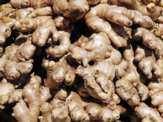 To może być nasze nowe złoto. Sadzą go już w Polsce zamiast ziemniaków