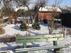 Zaczyna się stopniowa likwidacja działek ROD. Rząd może to jeszcze zatrzymać