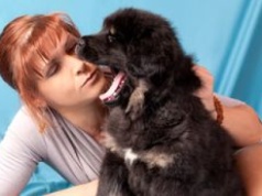 Pies ziewa? Nie zawsze chodzi o zmęczenie