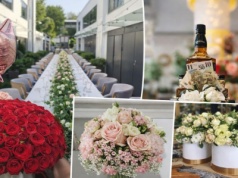 Kwiaty, które mówią więcej niż słowa. „Dmuchawce, latawce” – miejsce z duszą przy Lwowskiej w Nowym Sączu