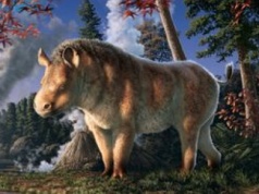 Odkrycie w Arktyce. Skamieniały nosorożec podważa dotychczasowe teorie