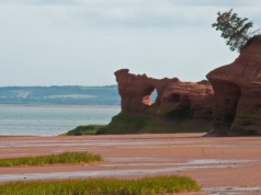 Znika ląd, pojawia się ocean. Niezwykłe zjawisko w Zatoce Fundy przyciąga tłumy co roku