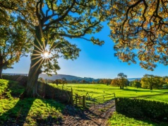 Milarder w USA kupił sobie milion akrów ziemi. Teraz ma łącznie prawie 3 mln akrów