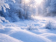 Ostrzeżenie IMGW przed silnym mrozem. Temperatura może spaść do –16°C