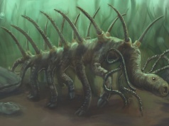 Poznaliśmy dietę jednego z najdziwniejszych zwierząt świata. Trochę ciarki