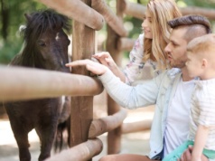 Najlepsze atrakcje dla dzieci w łódzkim – przewodnik po rodzinnych miejscach rozrywki