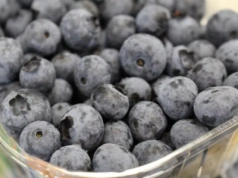 Światowy rynek borówki: stabilny popyt, wysoka podaż z importu i rosnąca konkurencja. Cz. 1: Europa